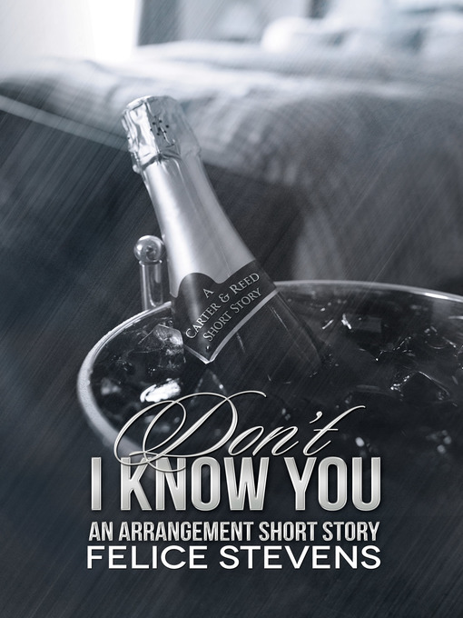 Title details for Don't I Know You by Felice Stevens - Available